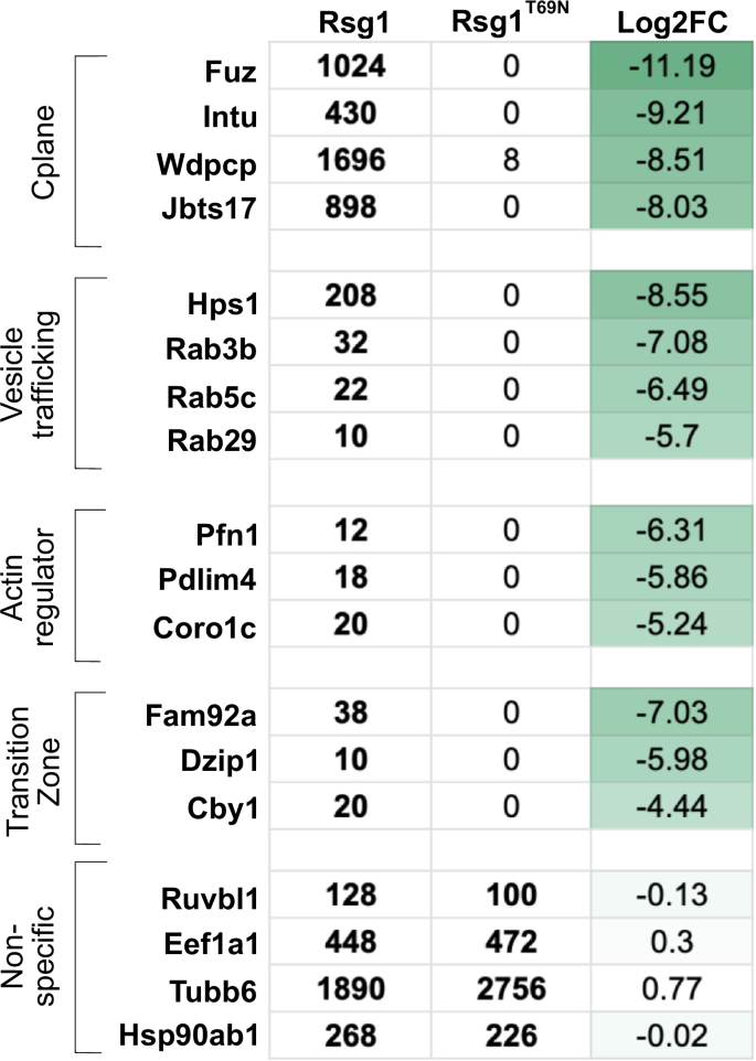 Fig. 5: APMS comparison of WT and T69N Rsg1.