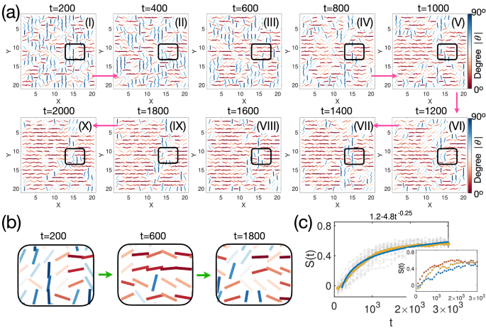 Fig. 10: Nematic order in the presence of noise.