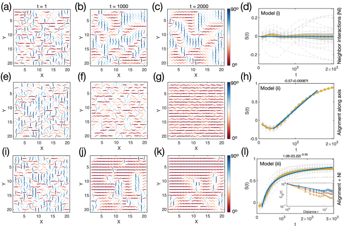 Fig. 4: Models for nematic order formation.