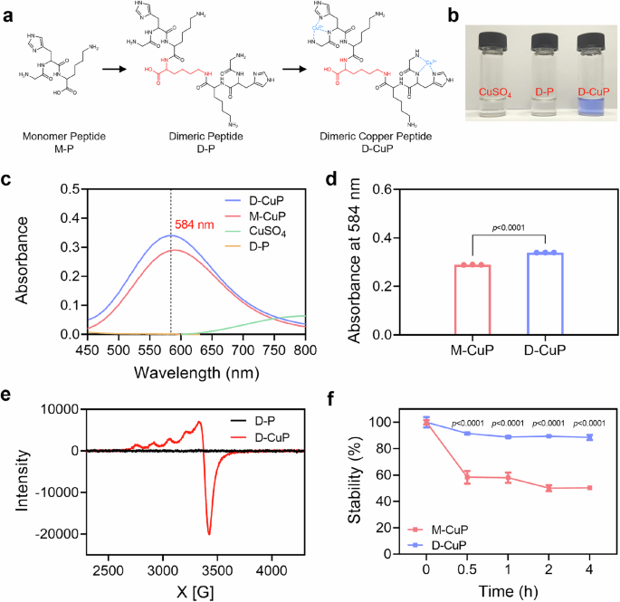 Fig. 2: Preparation and characterization of the D-CuP.