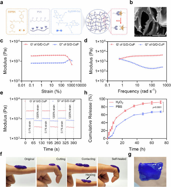 Fig. 3: Characterization of the G/D-CuP.