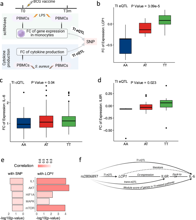 Fig. 2: Trained Immunity eQTL (TI eQTL) in monocytes.