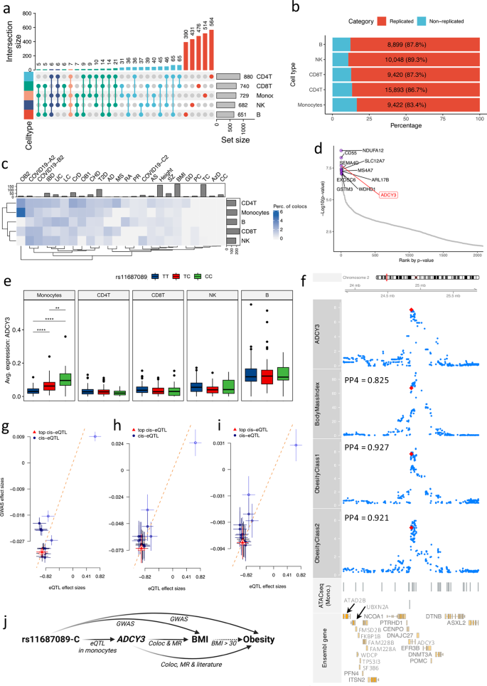 Fig. 3: Monocyte-specific eQTL pinpointed the role of ADCY3 in obesity.
