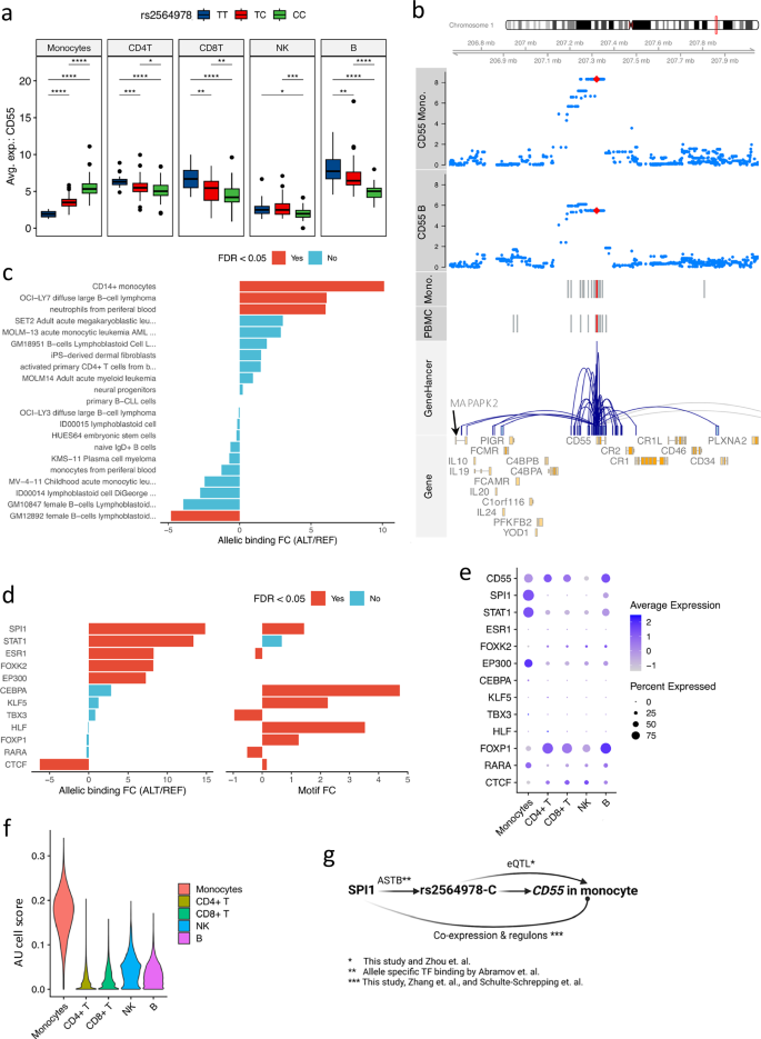 Fig. 4: CD55 eQTL explained by allelic transcription factor binding affinities.
