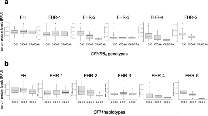Fig. 3: CFHR5fs is linked to lower FHR-5, FHR-2 and FHR-4 blood levels in a dose-dependent manner.