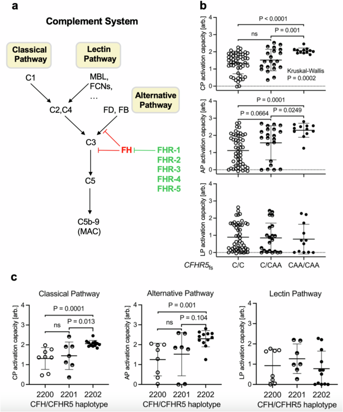 Fig. 5: CFHR5fs is linked to increased activation capacities of the classical and alternative complement pathways.