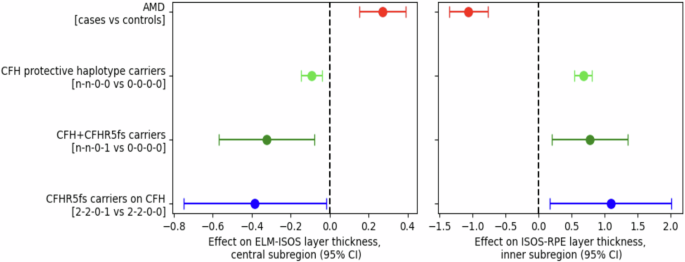 Fig. 6: CFHR5fs is associated with thickness of retinal photoreceptor layers.