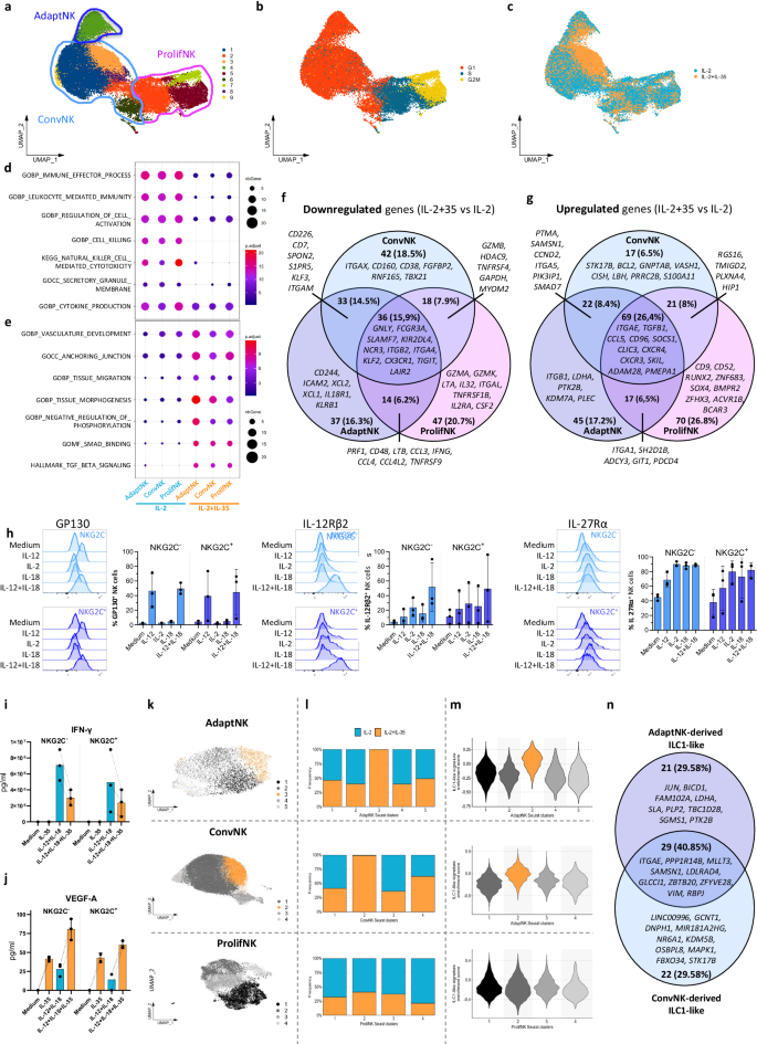 Fig. 4: scRNA-seq reveals transcriptional regulation and mechanisms involved in NK cell subsets’ response to IL-35.