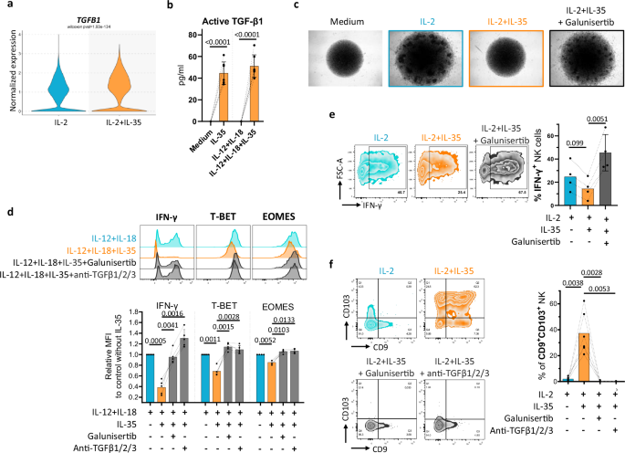 Fig. 6: IL-35-triggered autocrine TGF-β drives NK cell dysfunction and conversion into ILC1-like cells.