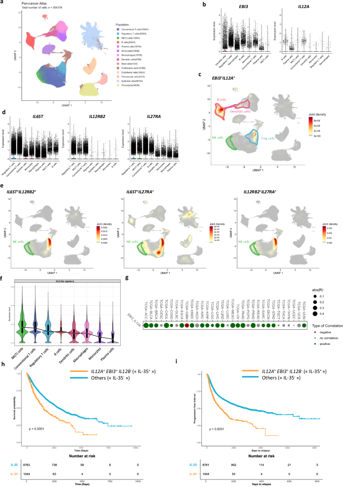 Fig. 7: NK/ILC1-like cells expressing IL-35R are present in tumors and IL-35 is associated with poor prognosis in cancer.