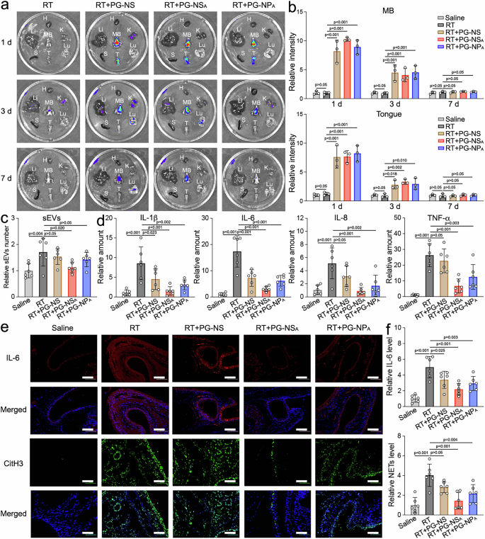 Fig. 7: Biodistribution of nanoplatforms after instillation and the modulation for nasal inflammation.