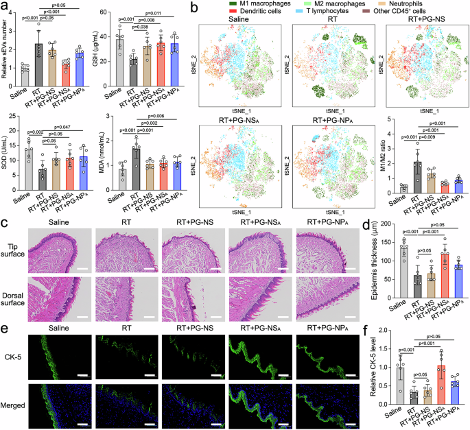Fig. 8: Modulation of tongue inflammation by nanoplatforms in a mouse model.