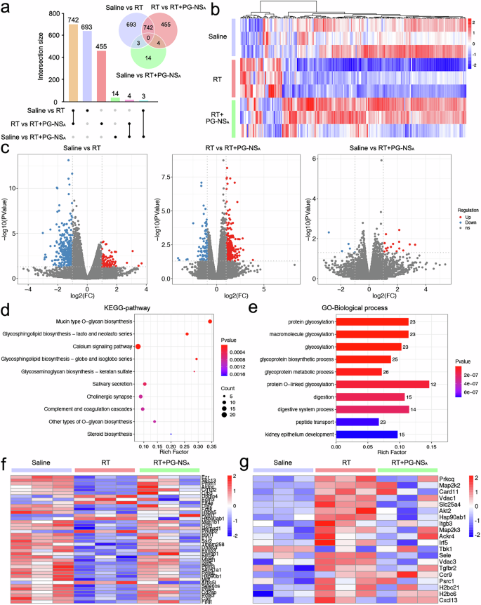 Fig. 9: Transcriptome analysis based on RNA sequencing results.