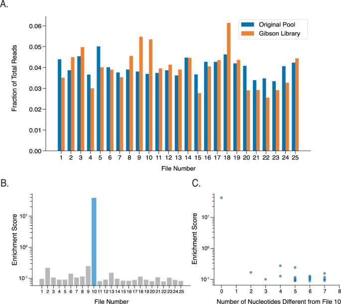 Fig. 2: Single-file enrichment experiment.