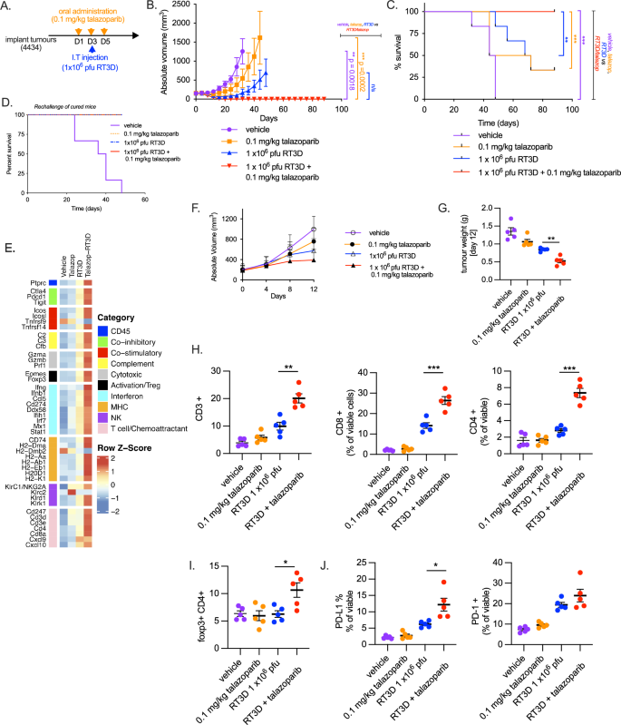Fig. 7: RT3D plus talazoparib enhances anti-tumour efficacy which correlates with an increase in immune response.