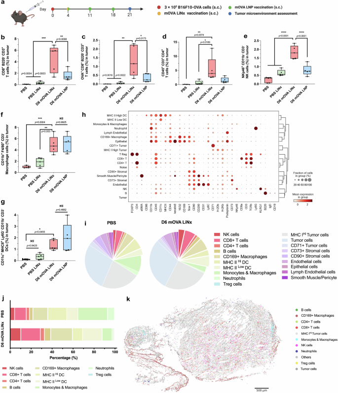 Fig. 5: Modulation of tumour microenvironment of the D6 LiNx formulation.