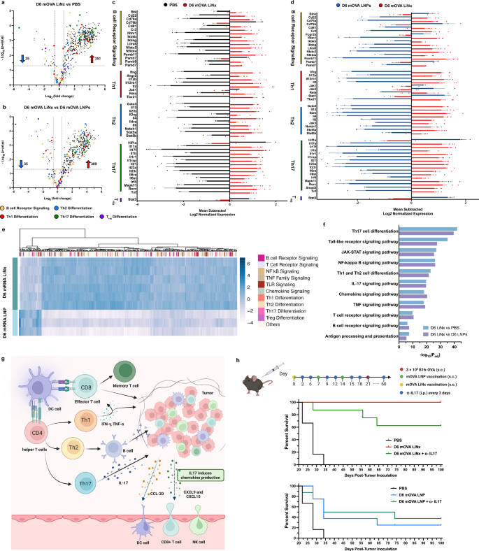 Fig. 6: Characterisation of immune activation profile generated by the D6 LiNx.