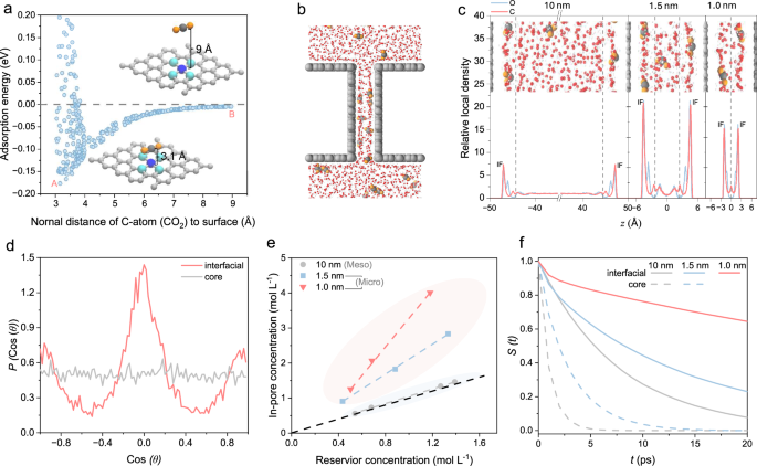 Fig. 3: Simulations of i-CO2 transport kinetics in pores.