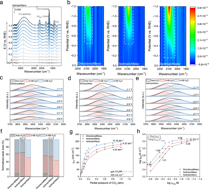 Fig. 4: Mechanistic study of confinement effects in nanopores.