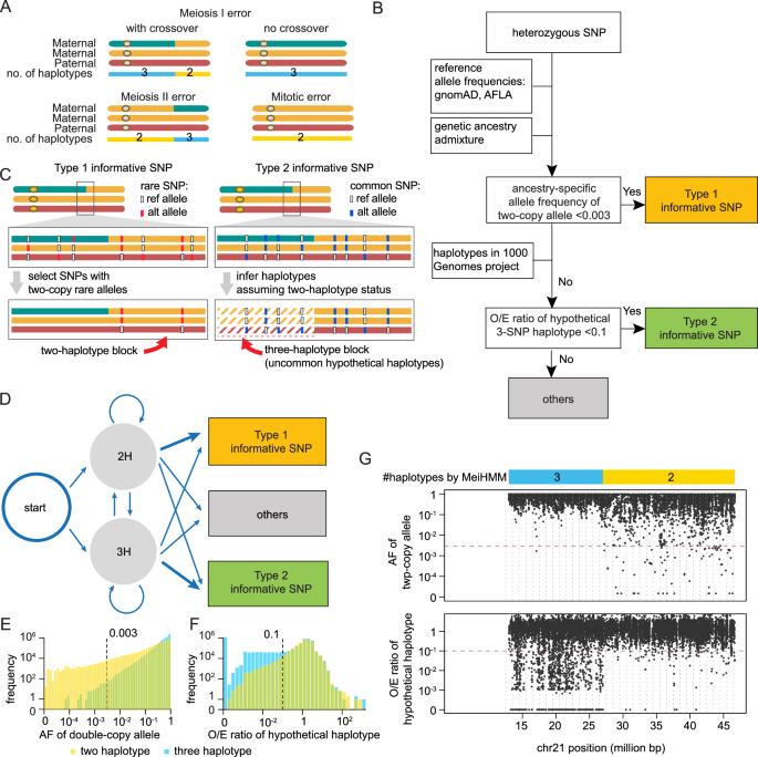 Fig. 1: Overview of MeiHMM.