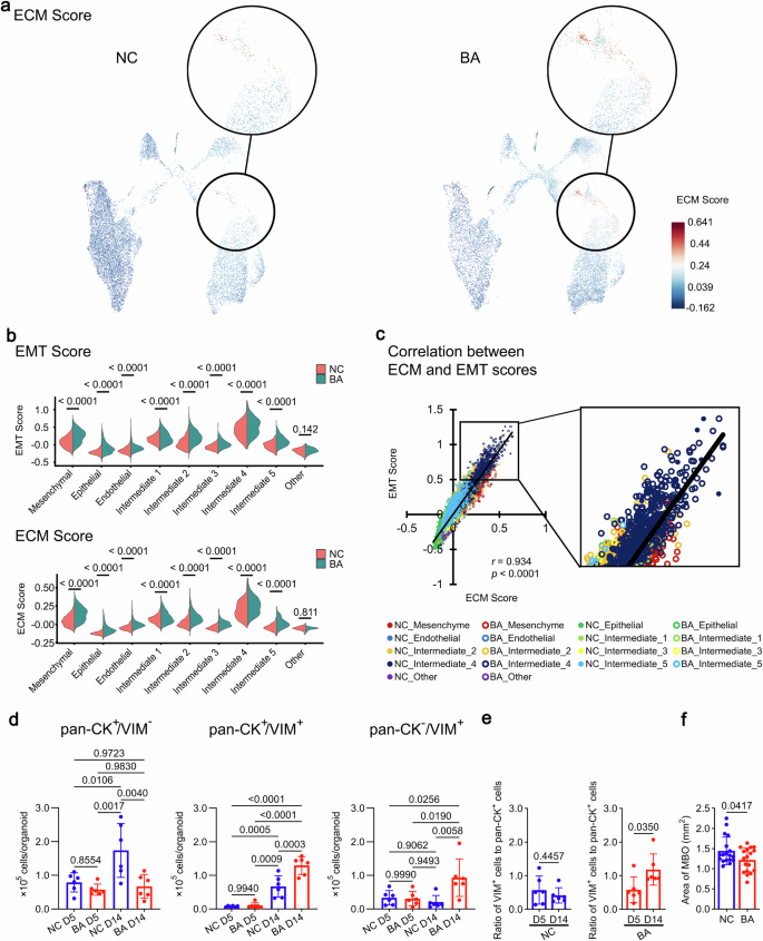 Fig. 4: Analysis of MSC and EMT-expressing populations in MBOs.