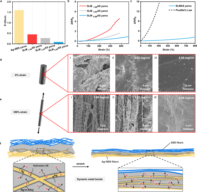 Fig. 2: The simultaneous deformation of both the LM and the fiber due to adhesion channels.