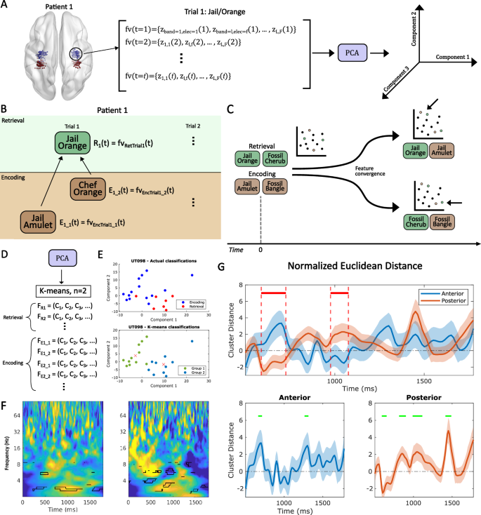 Fig. 4: Subspace representational analysis of pattern completion.