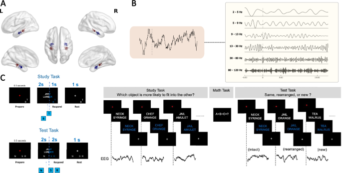 Fig. 8: Description of the associative recognition paradigm.