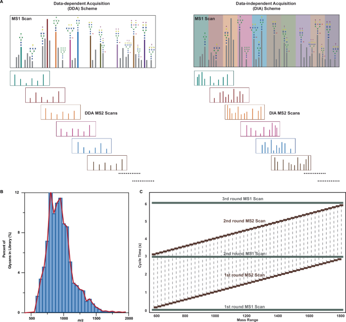 Fig. 1: MS analysis in GlycanDIA workflow.