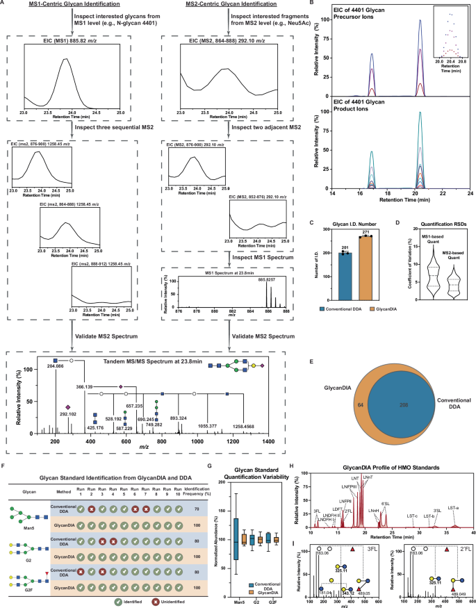 Fig. 2: The results from GlycanDIA workflow.