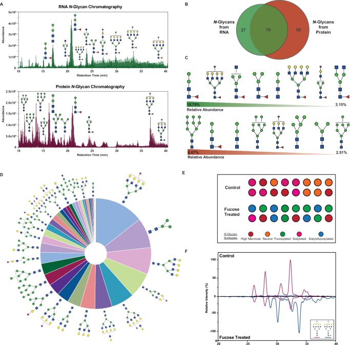 Fig. 3: GlycanDIA provides valuable insights into glycomic analysis.
