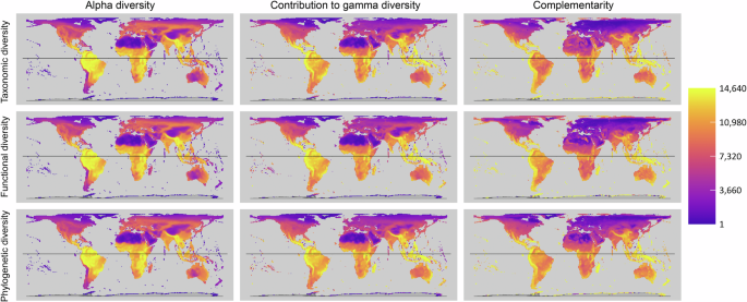 Fig. 1: Global patterns of avian diversity and endemism.
