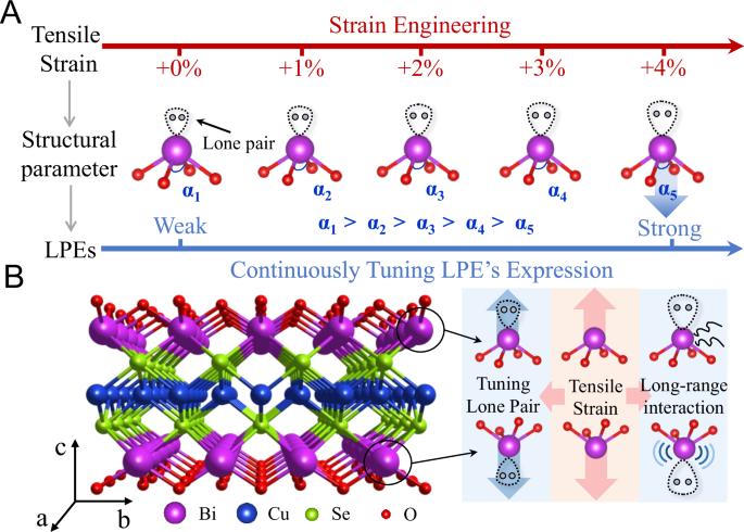Fig. 1: Tensile strain-induced regulation of lone pair electrons in BiCuSeO.