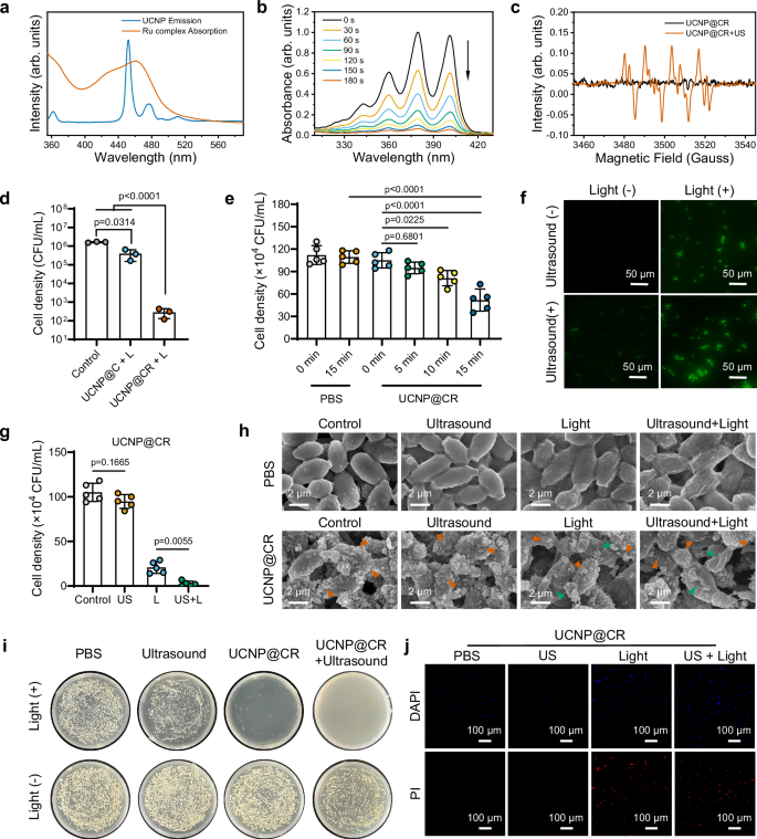 Fig. 3: ROS generation and anti-fungal performance.