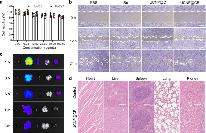 Fig. 6: Biosafety evaluation of the nanohybrid.