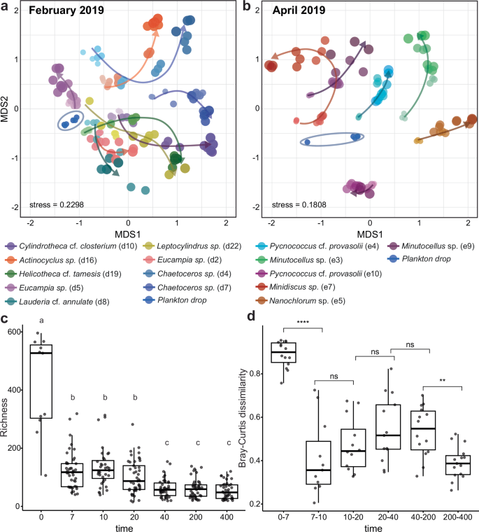 Fig. 1: Taxonomic composition of phytoplankton-associated bacterial communities through time.