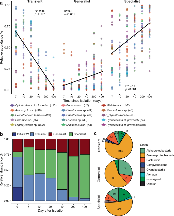 Fig. 2: The relative abundance, dynamic and taxonomy of the phytoplankton-specialists, generalists, and transient over time.