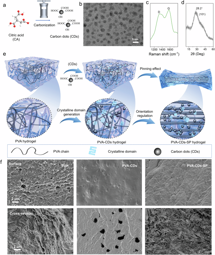 Fig. 1: Preparation of CDs and PVA–CDs–SP hydrogel.