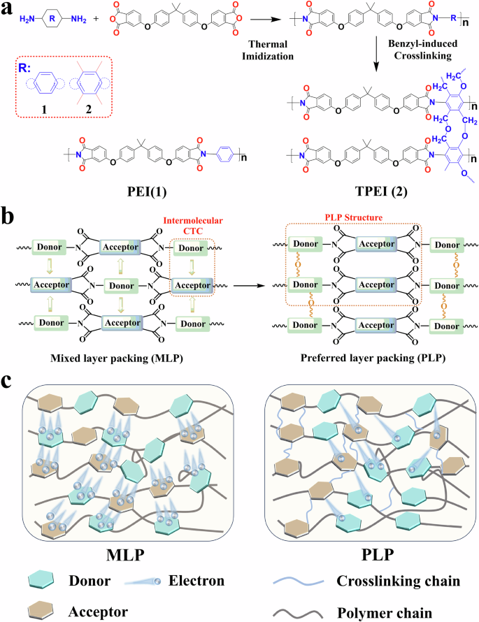 Fig. 1: Schematic illustration of the construction of the PLP structure in dielectric polymers.