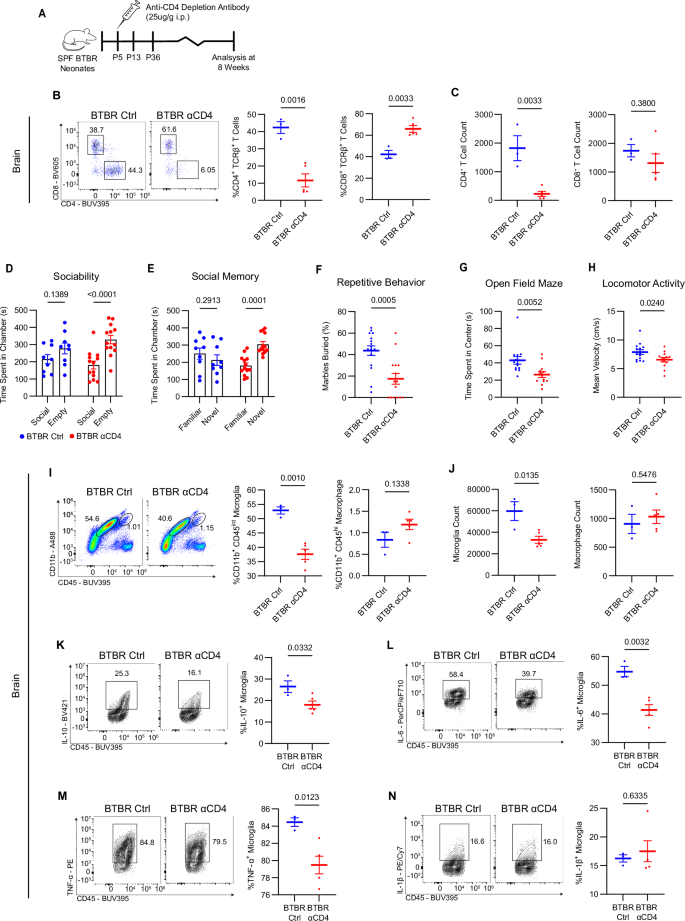 Fig. 3: Depletion of CD4+ T cells abrogate ASD-associated behaviors and neuroinflammation.