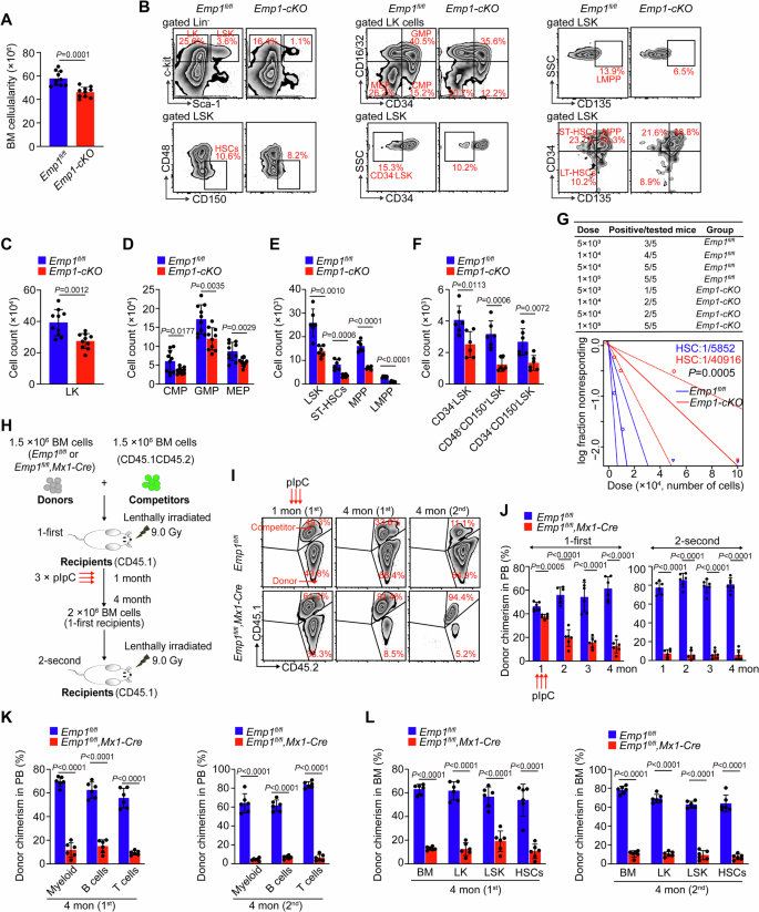 Fig. 3: Emp1 deficiency impairs HSC maintenance and self-renewal.