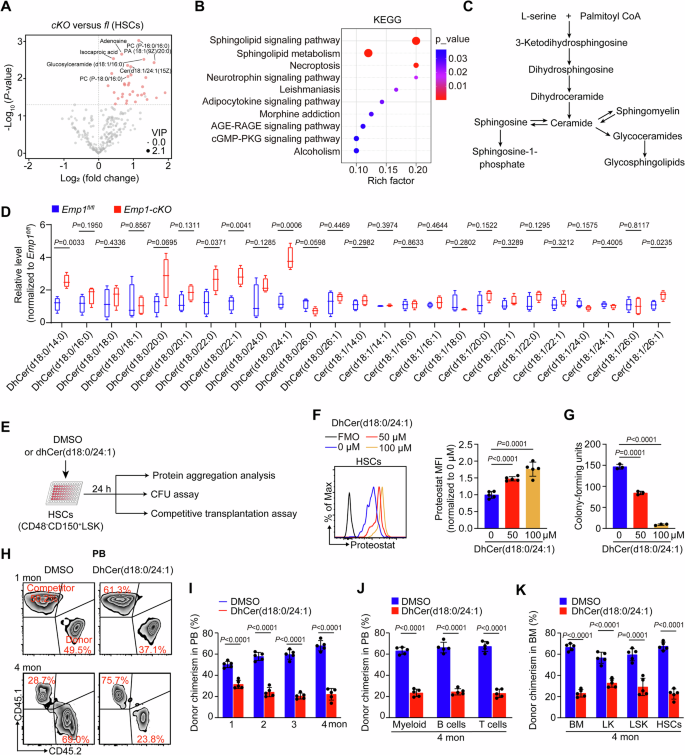 Fig. 6: Emp1 deficiency results in dhCer accumulation that induces the formation of protein aggregates.