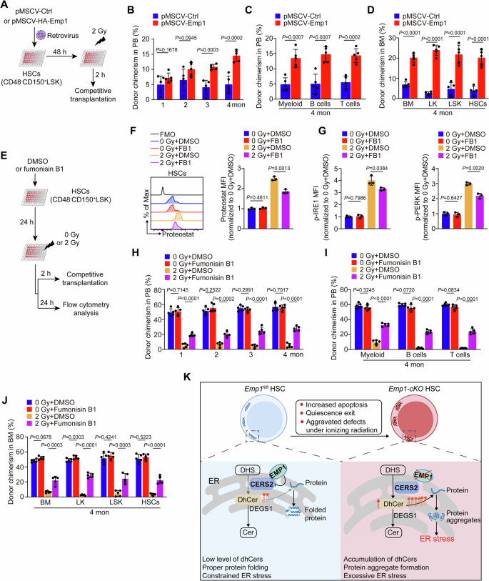 Fig. 8: Emp1 overexpression or CERS2 inhibition protects HSCs against IR-induced injury.