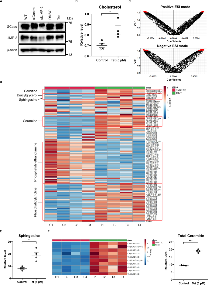 Fig. 4: Tet altered cellular lipid metabolisms.