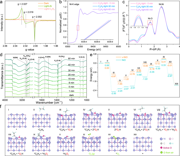 Fig. 4: In situ characterizations and DFT calculations proposed reaction mechanism.