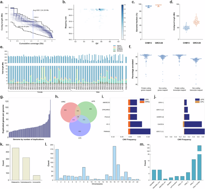 Fig. 2: Quality assessment of 53 phased diploid assemblies and gene duplication analysis.