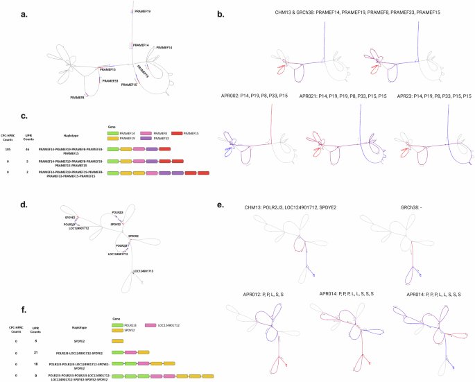Fig. 4: Visualizing complex structural variation region.