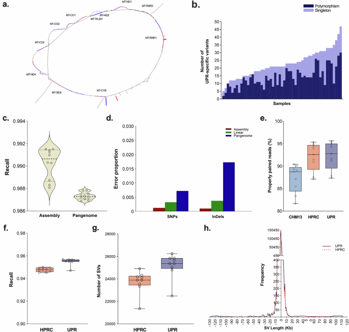 Fig. 5: Mitochondrial pangenome analysis and nuclear pangenome performance gain.