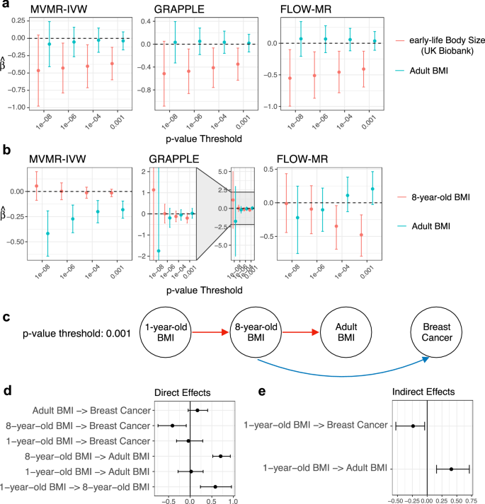 Fig. 4: Evaluation of the effect of body size on breast cancer at different ages.