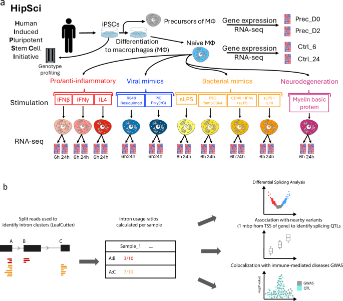 Fig. 1: Overview of MacroMap.
